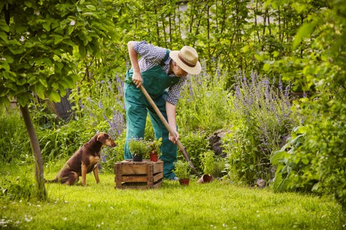 Gardener team inspecting a residential garden in Yiewsley before work