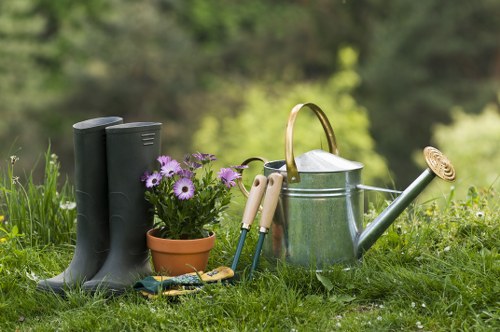 Healthy green lawn maintained by experts