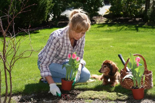 Finished lawn and planted beds showcasing professional gardening work in Yiewsley